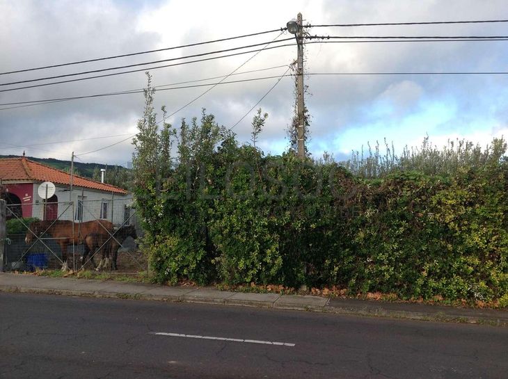Proporção de 15/120 de Terreno · Feteira, Horta