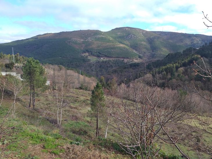 Terreno · Ribeira de Pena, Vila Real 