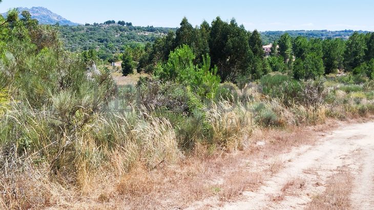 Terreno c/ 2,66 ha · Penamacor, Castelo Branco