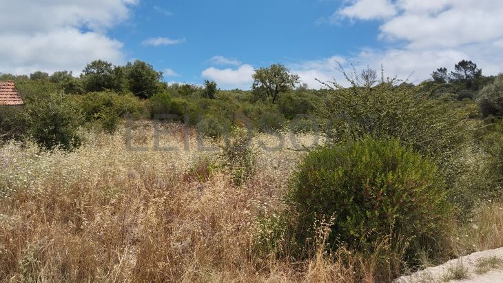 Terreno · Ferreira do Zêzere, Santarém