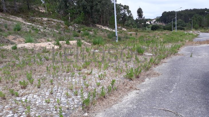 Lote para Construção · Torres Vedras