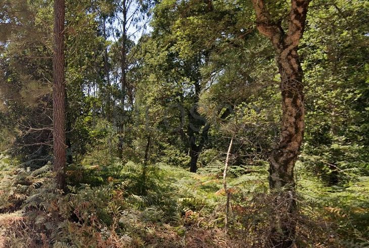 Proporção de 1/2 de Terreno com 6.496 m² · Vila Nova de Poiares