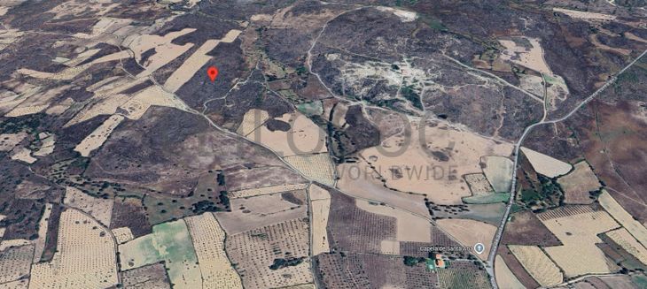 Terreno com +4 hectares · Figueira de Castelo Rodrigo