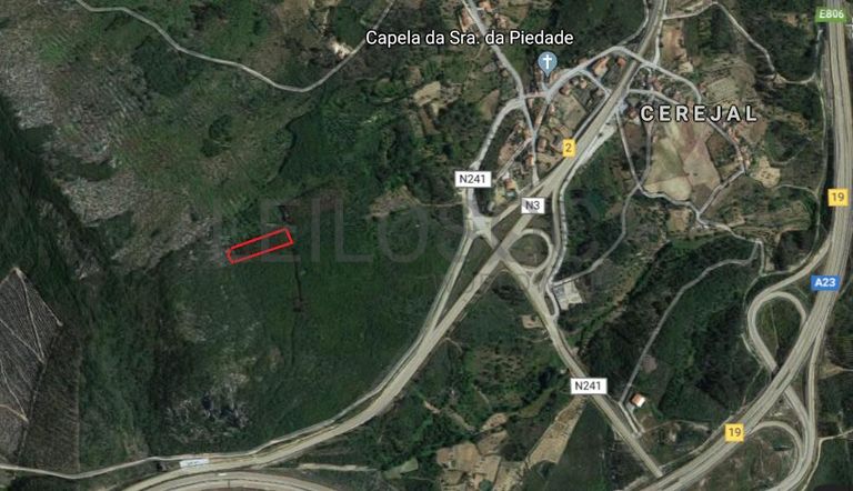 Terreno · Vila Velha de Ródão - Castelo Branco