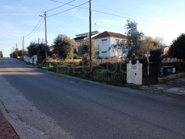 Terreno · Santa Comba Dão