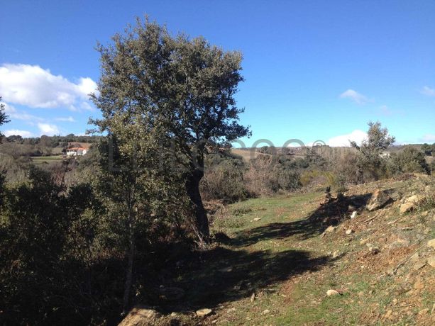 Terreno · Bragança