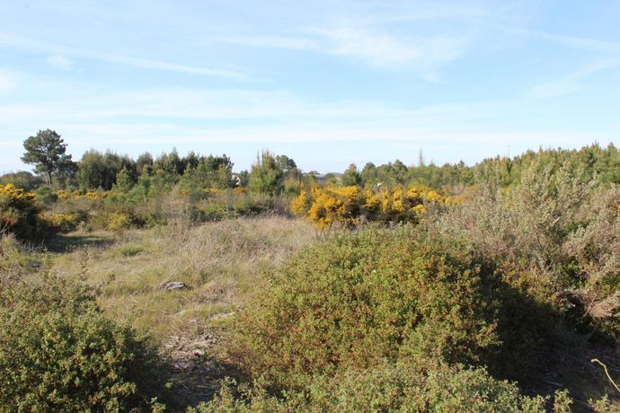 Proporção de Terreno · Palmela