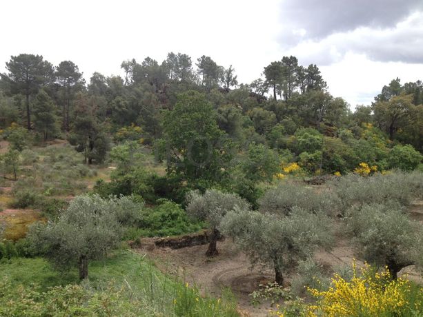 Quinhão Hereditário · Terrenos/Moradia · Valpaços