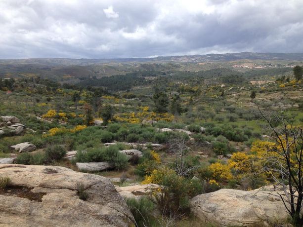 Quinhão Hereditário · Terrenos/Moradia · Valpaços