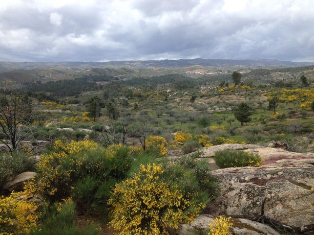 Quinhão Hereditário · Terrenos/Moradia · Valpaços