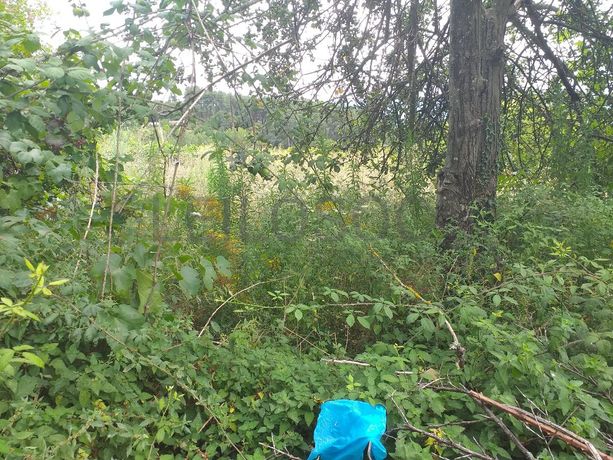 Moradia + Terrenos · Baião