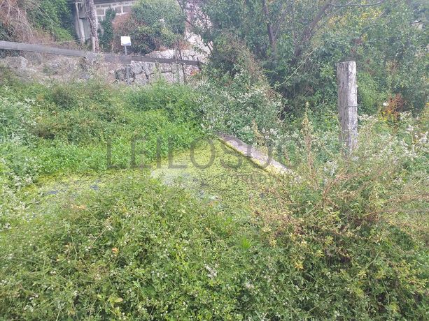 Moradia + Terrenos · Baião