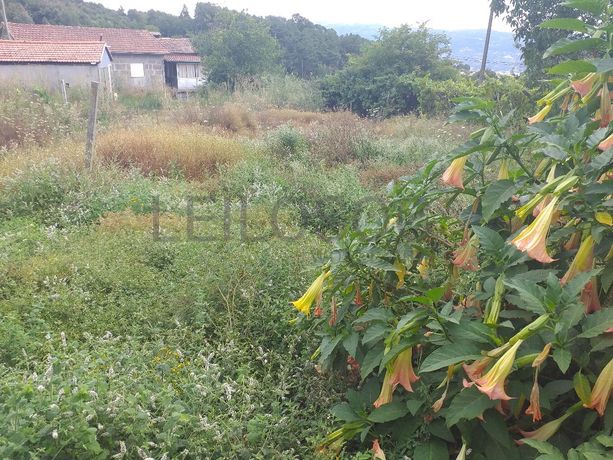 Moradia + Terrenos · Baião