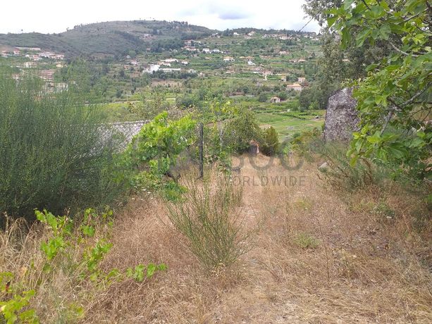 Moradia + Terrenos · Baião