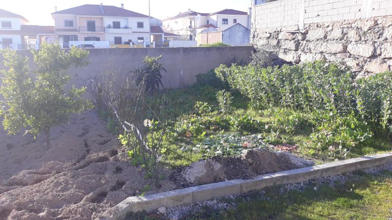 Moradia V2 · Castelo Branco