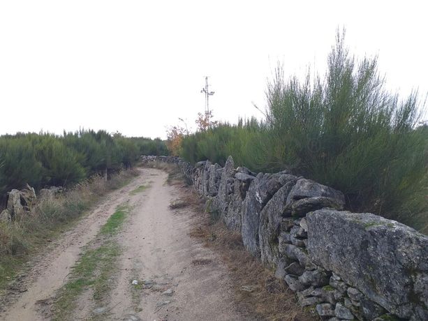 Terreno com Benfeitorias · Vila Real