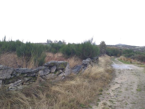 Terreno com Benfeitorias · Vila Real