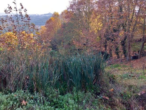 Terreno · Marco de Canaveses