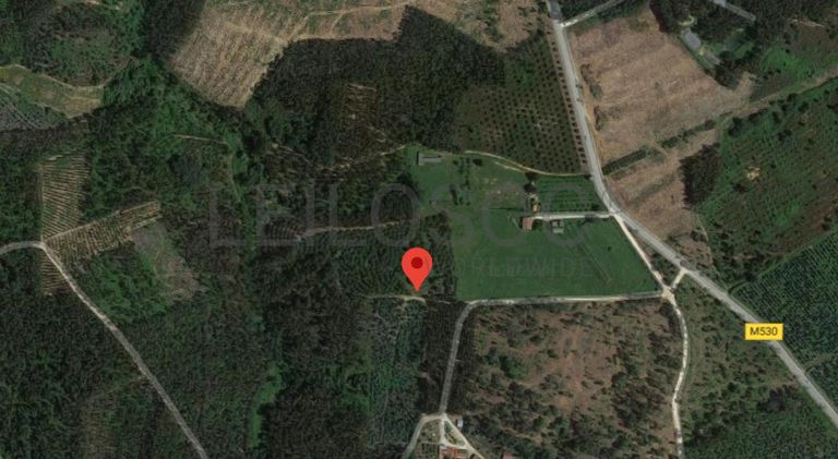 Terreno com 1,3ha · Tomar