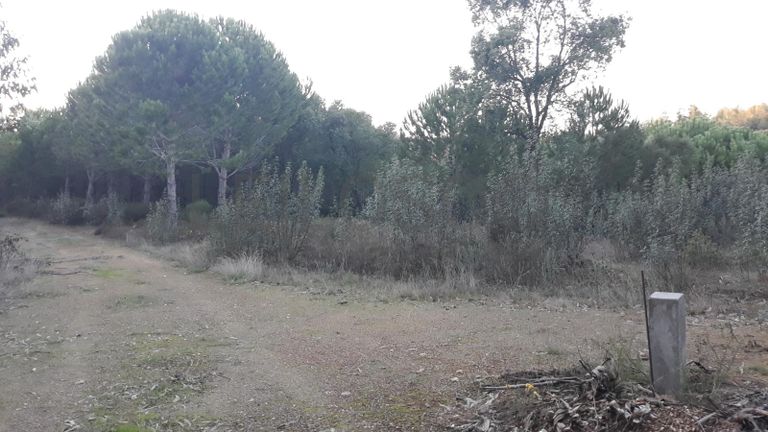 Terreno com 1,3ha · Tomar