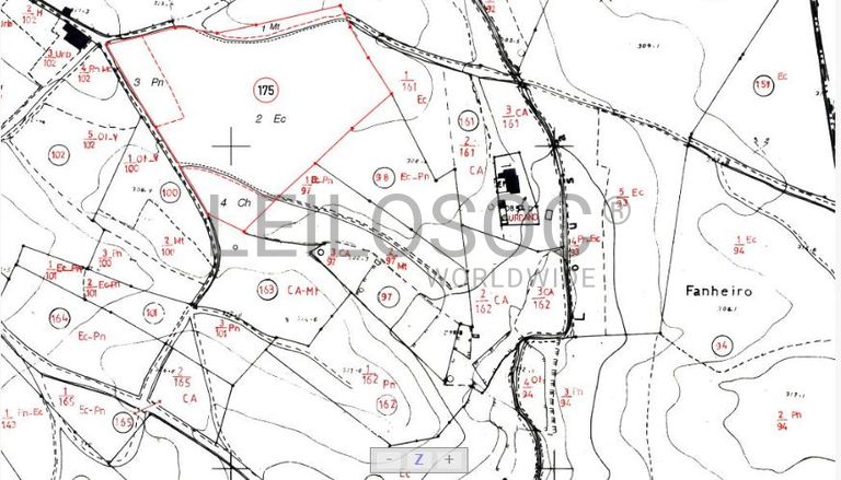 Terreno · Ferreira do Zêzere