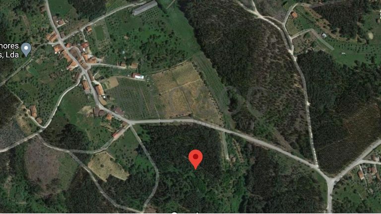 Terreno · Ferreira do Zêzere