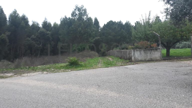 Terreno · Ferreira do Zêzere