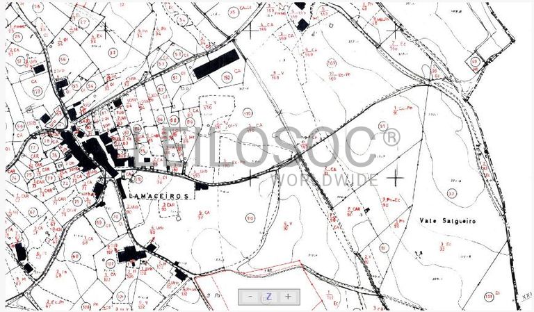 Terreno com 1,3ha · Ferreira do Zêzere