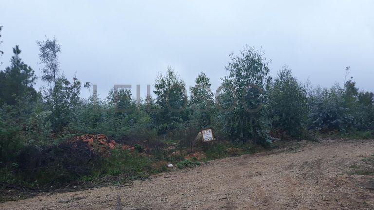 Terreno com 1,3ha · Ferreira do Zêzere