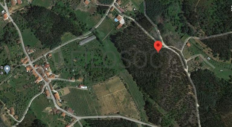 Terreno com 1,3ha · Ferreira do Zêzere