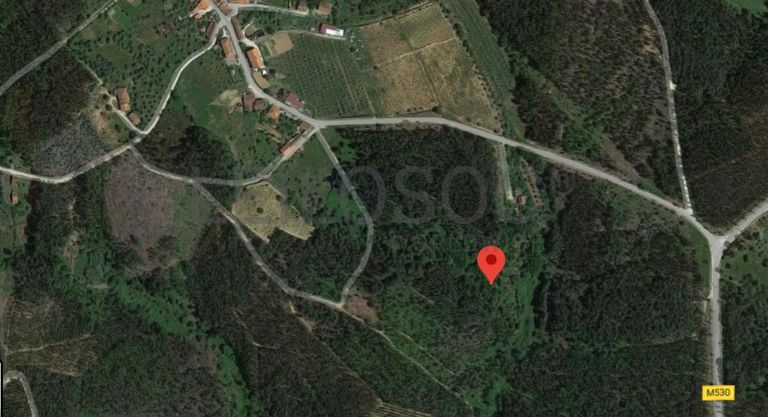 Terreno c/ 1,2ha · Ferreira do Zêzere