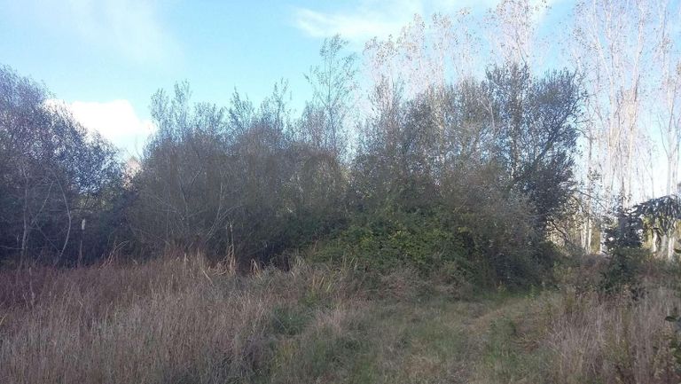 Terreno · Vagos, Aveiro