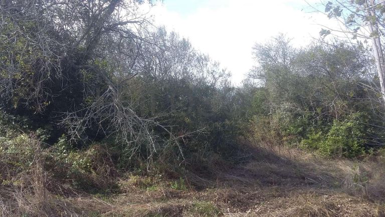 Terreno · Vagos, Aveiro