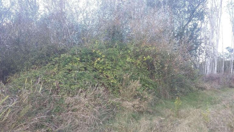 Terreno · Vagos, Aveiro