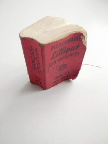 Dictionnaire Lilliput Français - Portugais