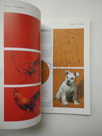 Pintura a Pastel para principiantes