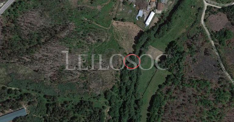Terrenos · U. F. de Cambra e Carvalhal de Vermilhas, Vouzela