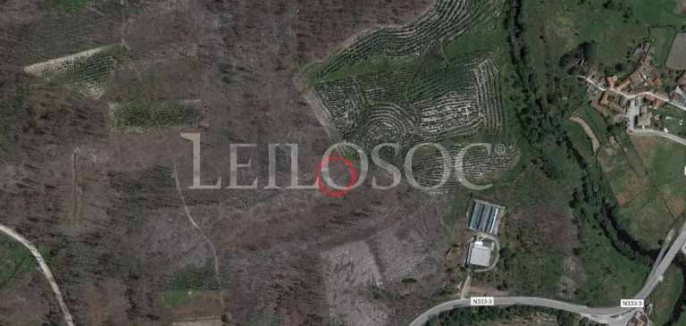 Terrenos · U. F. de Cambra e Carvalhal de Vermilhas, Vouzela