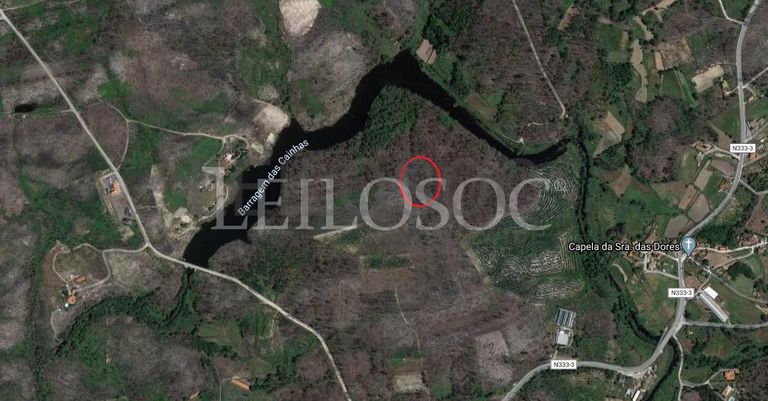 Terrenos · U. F. de Cambra e Carvalhal de Vermilhas, Vouzela