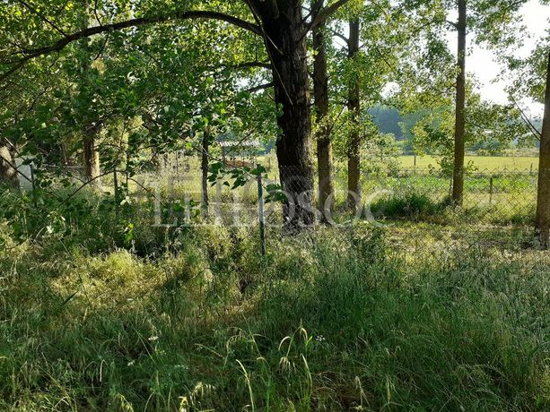 Terrenos · U. F. de Vouzela e Paços de Vilharigues, Vouzela