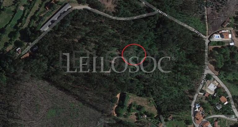 Terrenos · U. F. de Vouzela e Paços de Vilharigues, Vouzela