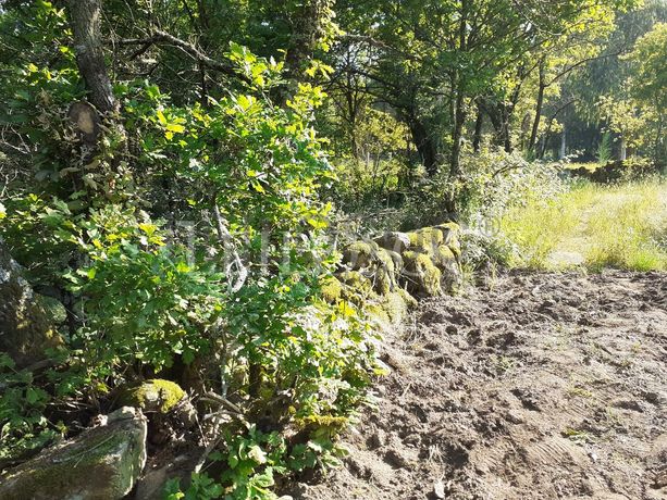 Terreno · Oliveira de Frades