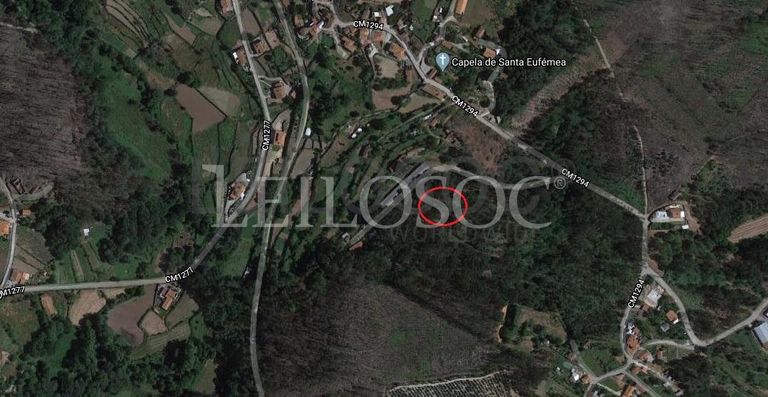 Terreno · Oliveira de Frades