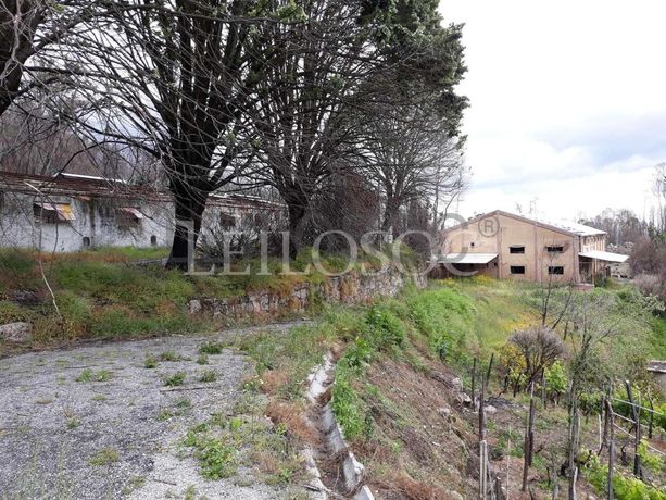 Pavilhões · Terrenos · Armazéns · Mundaxa, Tondela