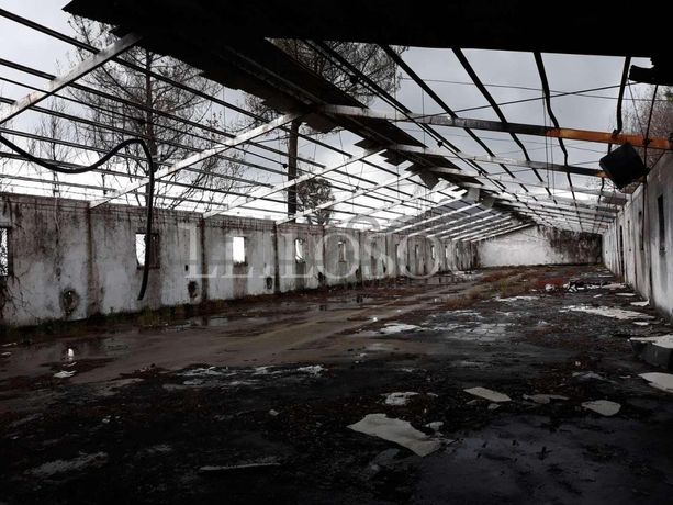 Pavilhões · Terrenos · Armazéns · Mundaxa, Tondela