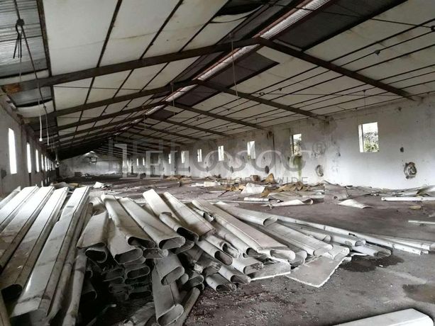 Pavilhões · Terrenos · Armazéns · Mundaxa, Tondela