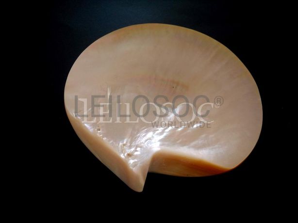 Lote 07 - Verbas 306 a 321