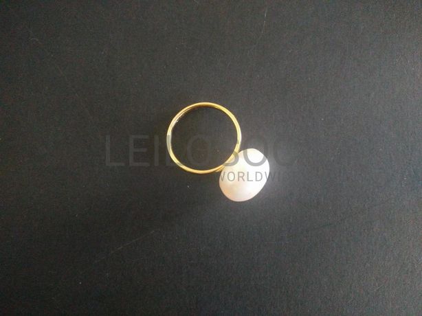 Lote 06 - Verbas 224 a 305