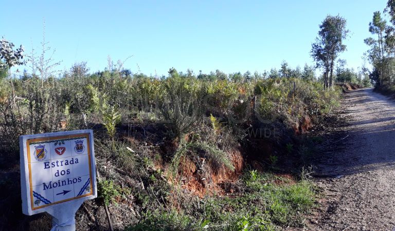 Terreno · Ferreira do Zêzere, Santarém 