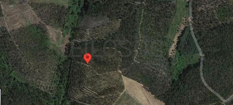 Terreno · Ferreira do Zêzere, Santarém